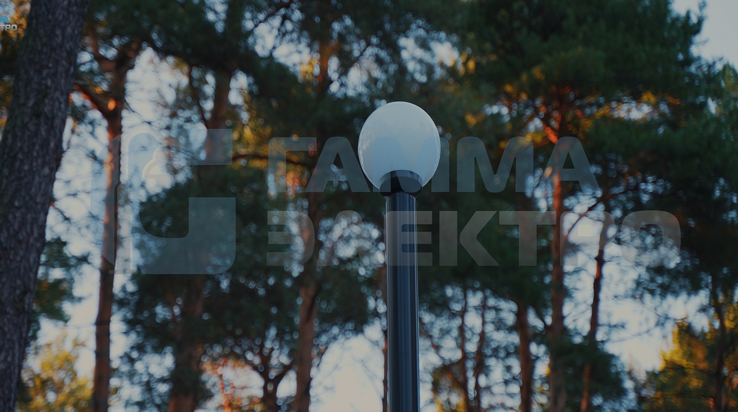 Обустройство сквера в Ленинградской области