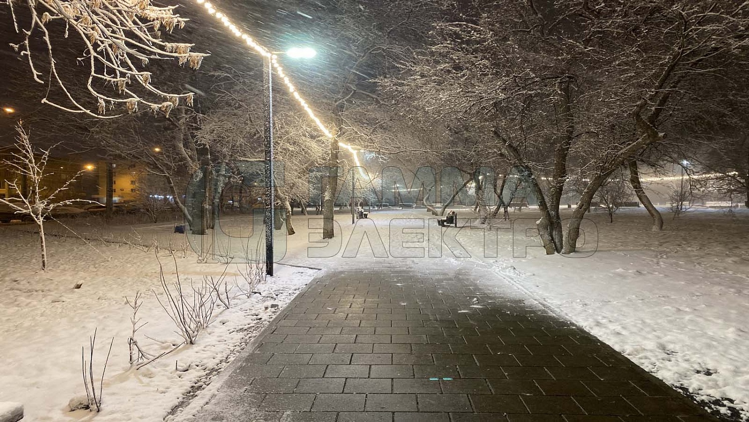 Екатеринбург, парковая территория