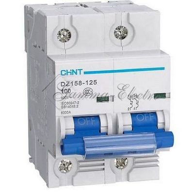Автоматический выключатель DZ158 2P 63A 10kA х-ка (8-12In) (R) (CHINT)